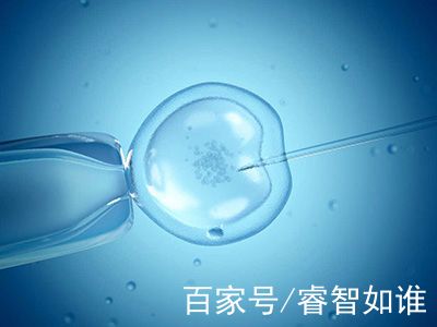 冷冻